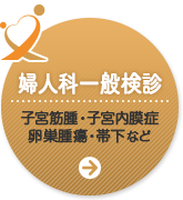 婦人科一般検診 子宮筋腫・子宮内膜症卵巣腫瘍・帯下など
